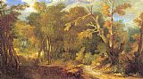 Unknown Artist Wooded Landscape painting